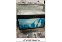 THANH LÝ TỦ TRƯNG BÀY VÀNG, TRANG SỨC MICA ĐEN