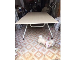 Thanh lý bàn họp chân côn 2m4
